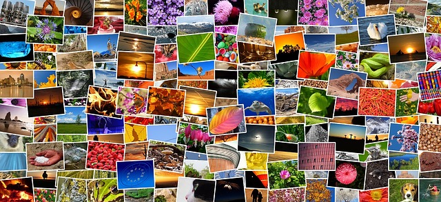 Inspirativní fotografie, kde je najdete?